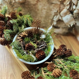 May include: A white bowl filled with pine cones, greenery, and dried sprigs sits in a wooden tray. The tray is surrounded by more pine cones and evergreen branches. The background features a birch bark backdrop, creating a natural, rustic aesthetic.