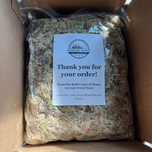 Sphagnum Moss Orchid Mix, Soilless Mix for Phalaenopsis Orchids