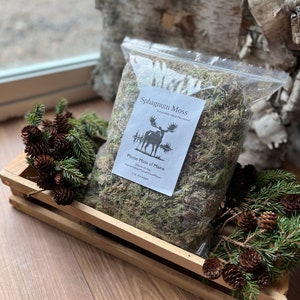 Dried Sphagnum Moss - Orchids, Fairy Gardens, Terrariums, Vivariums and more