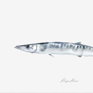 Funny Ugly Fish Print, Minimalist Barracouta Wall Art, Quirky Animal Watercolor Digital Download, Novelty Bathroom Decor, Simple Fish Print