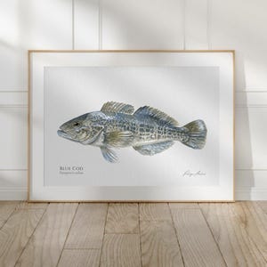 Könnte beinhalten: Aquarellmalerei eines Blue Cod Fisches, Parapercis colias, in Blau-, Grau- und Grüntönen. Der Fisch ist auf einem weißen Hintergrund zentriert, umrahmt von hellem Holz. Der Text "BLUE COD" ist sichtbar.