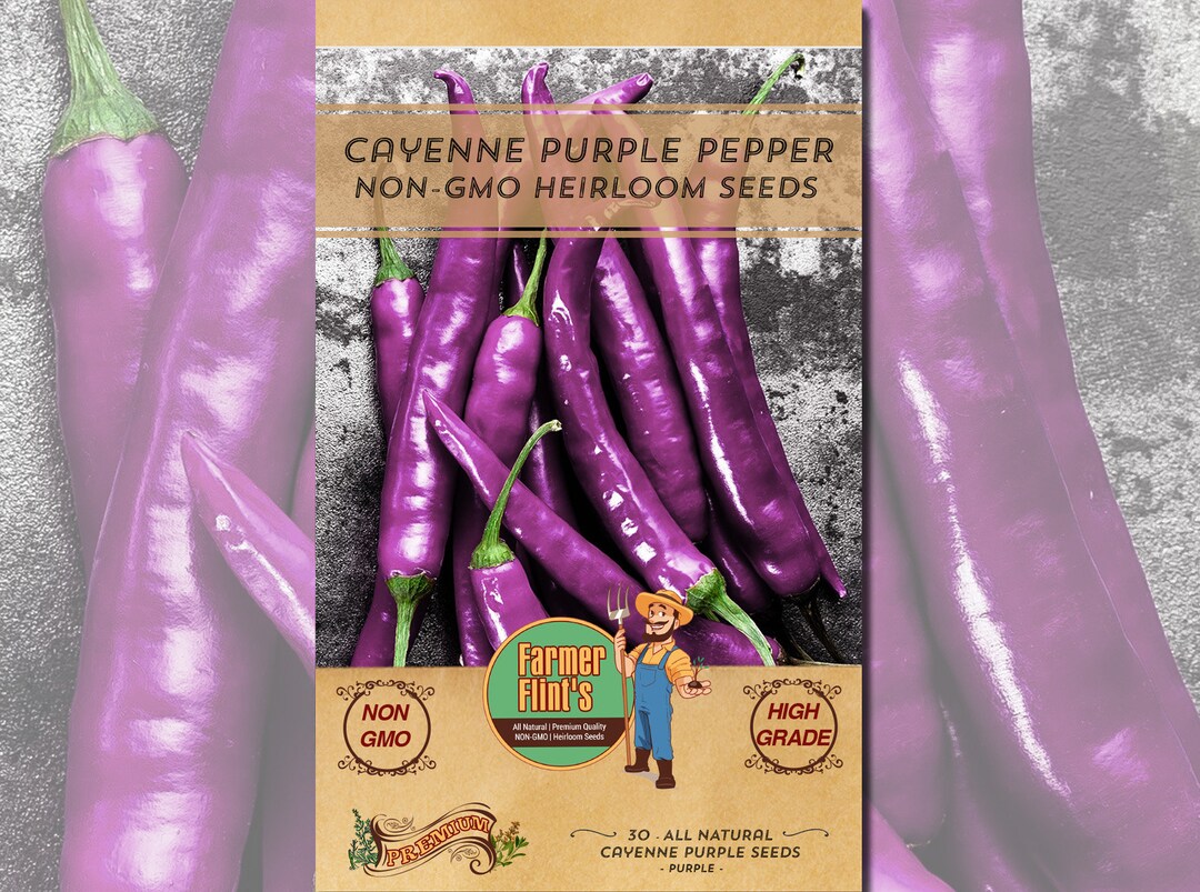 Cayenne Pepper Seeds Spicy Purple Peppers 30 Seeds per Packet All