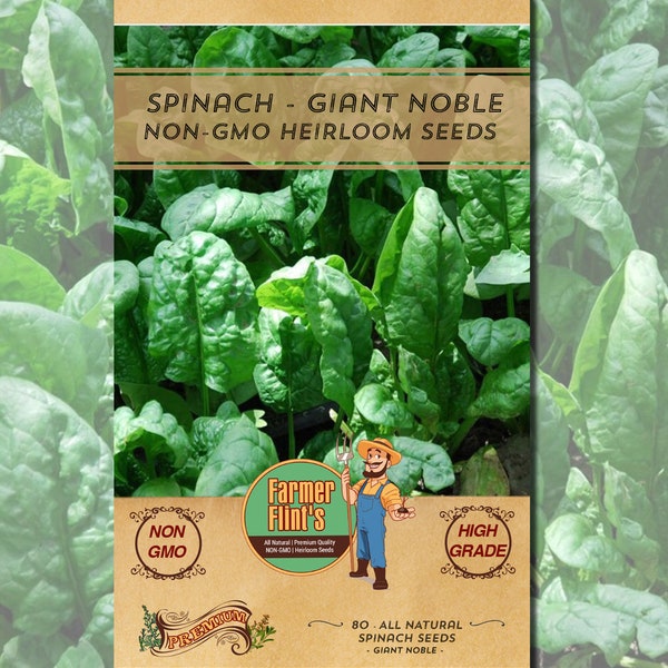 Spinach Seeds Giant Noble - 80 Seeds Per Packet - All Natural/Open Pollinated/Non-GMO Heirloom Leafy Vegetable Seeds