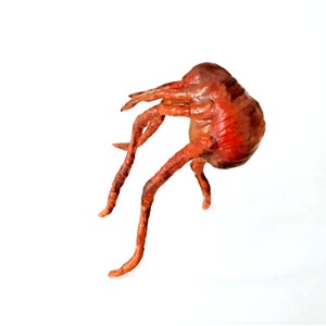 Flea, Animal, Beast, Insect, Parasite - Etsy UK