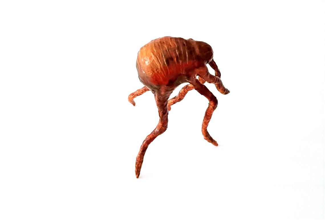 Flea, Animal, Beast, Insect, Parasite - Etsy UK