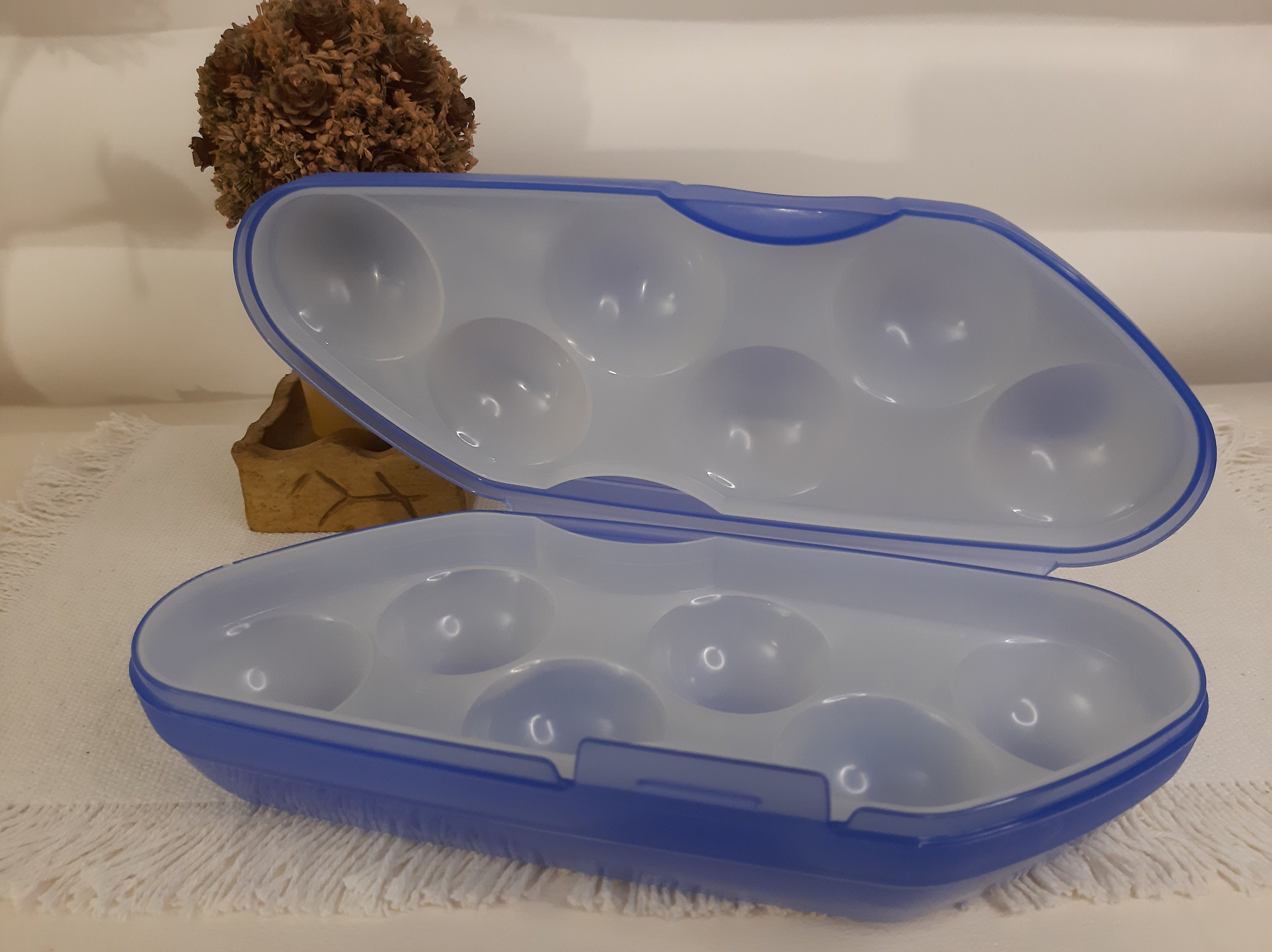 Tupperware Egg Storage and Transport Box