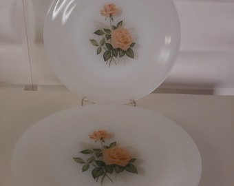 ARCOPAL 6枚セット 深皿 ピンクローズコレクション - ヴィンテージ