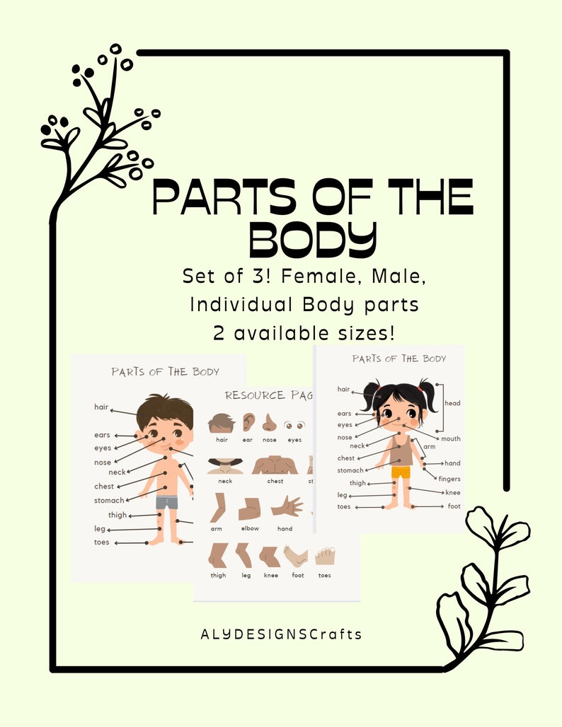 Parts of the Body Learning Posters, Toddler Anatomy, Toddler