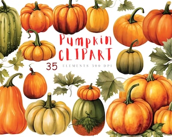Watercolor Pumpkin Clipart, Autumn Watercolor Graphics, Fall Decor Clip Art, Instant Download, Free Commercial Fall PNG, Fall Garden SVG
