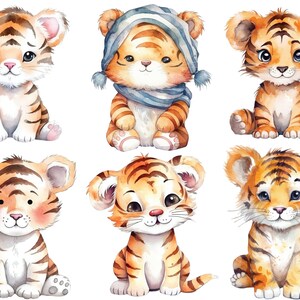Pode incluir: Seis ilustra&ccedil;&otilde;es de aquarela de ador&aacute;veis ​​filhotes de tigre de desenho animado. Os filhotes est&atilde;o sentados e t&ecirc;m express&otilde;es diferentes. Alguns usam cachec&oacute;is.
