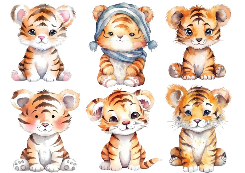 Pode incluir: Seis ilustra&ccedil;&otilde;es de aquarela de ador&aacute;veis ​​filhotes de tigre de desenho animado. Os filhotes est&atilde;o sentados e t&ecirc;m express&otilde;es diferentes. Alguns usam cachec&oacute;is.