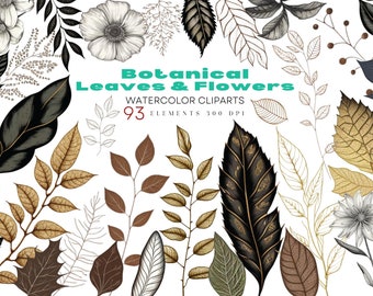 Clipart botanico, Clipart di fiori d'epoca, Leafs Illustration Clipart, Download istantaneo PNG, Arte antica stampabile, Foilage Clipart Wedding
