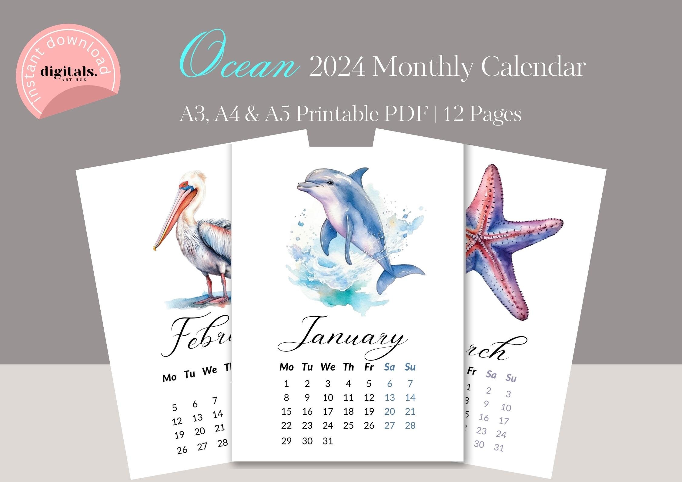 Ocean Theme Calendar Set 2024-2025 by Classroom Integrations