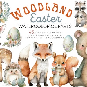 Clipart di Pasqua dell&#39;acquerello, Woodland Babies Clipart, Cute Animals Clipart Digital Download grafica di Pasqua, coniglietto, volpe, orso, Bambi, riccio