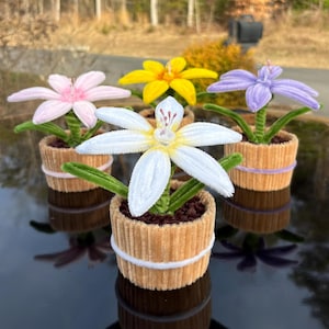 Maceta de lirio eterno, flor de limpiapipas hecha a mano, regalo floral para decoración del hogar