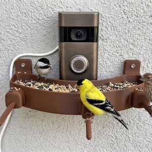 May include: A bronze smart doorbell with a camera and a bird feeder. Three small birds perch on the feeder, filled with seeds. The birds include a yellow and black goldfinch, a black-capped chickadee, and a brown finch. The doorbell is mounted on a textured wall.