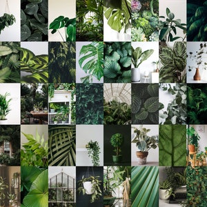Plant aesthetic - Etsy sterreich
