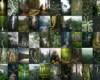 May include: A collage of 36 images showcasing various lush green forests with winding paths, rivers, waterfalls, and dense foliage.