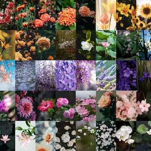 Flowers Wall Collage, Printable Wall Collage, 50 Pieces, 4x6 Inch Images, Digital Download, Room Decor, Flowers Aesthetic, Flower Photos