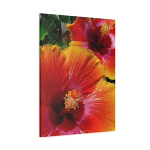 Tropical Hibiscus Flower in Vibrant Yellow Orange and Pink Blooms Gallery Wrapped Canvas Print