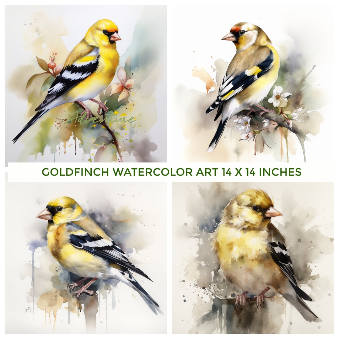 Goldfinch Art, Set of 4 Watercolor Art Print, Goldfinch Painting Wall ...