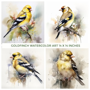 Goldfinch Art, Set of 4 Watercolor Art Print, Goldfinch Painting Wall Art Decor, Original Artwork by Artist, Yellow Bird, Bird Lovers, Finch