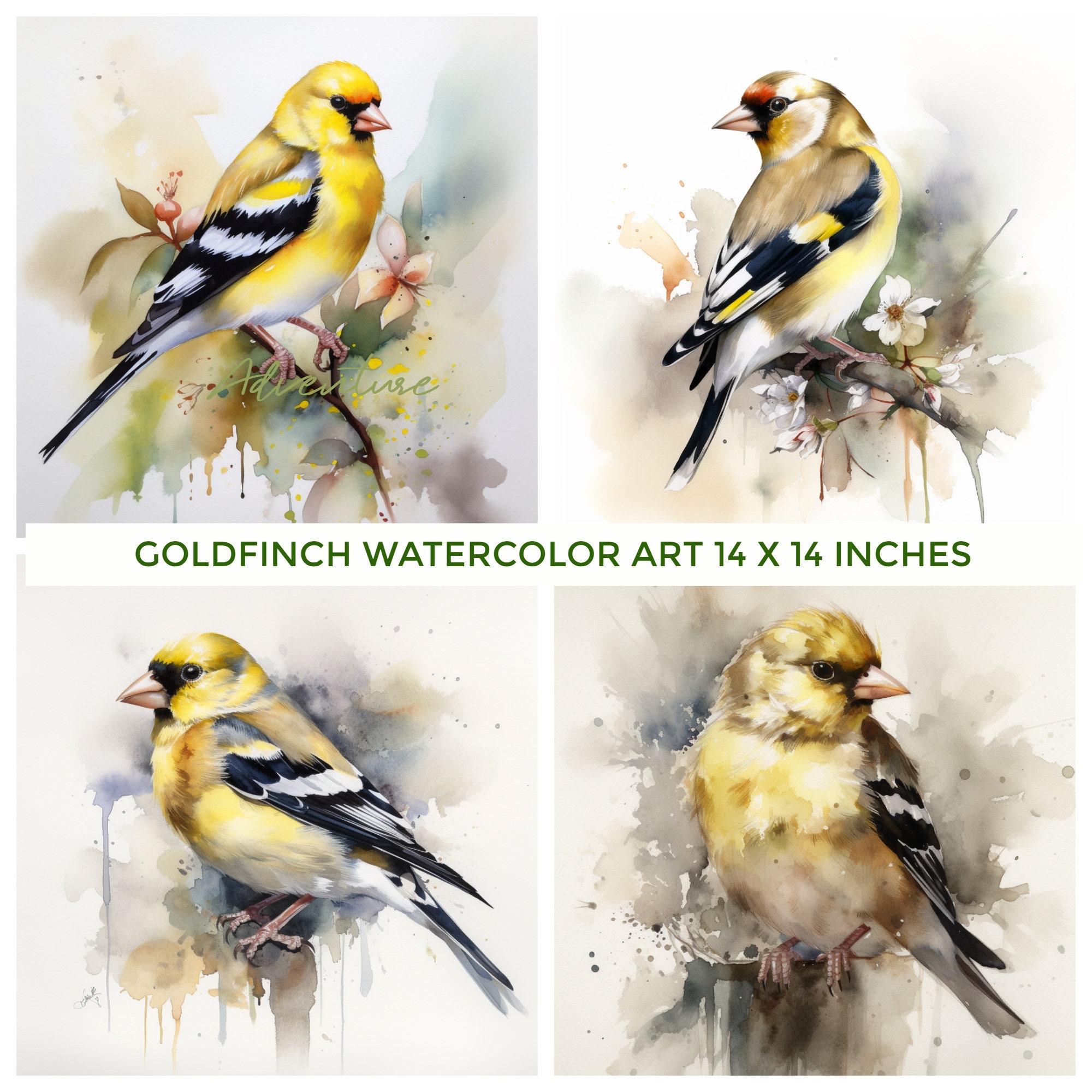 Goldfinch Art, Set of 4 Watercolor Art Print, Goldfinch Painting Wall ...