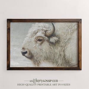 Peut inclure: Impression encadrée d'un bison blanc, de style vintage. Le bison est représenté de profil, avec sa tête tournée vers la gauche. L'œuvre est encadrée dans un cadre en bois marron, avec le texte "Les Muses Gossip Club" en bas, proposant de l'art imprimable de haute qualité.