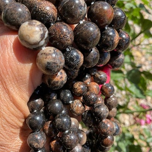 May include: A close-up of a stack of brown and black gemstone bracelets. The bracelets are made of round beads with a mottled pattern.
