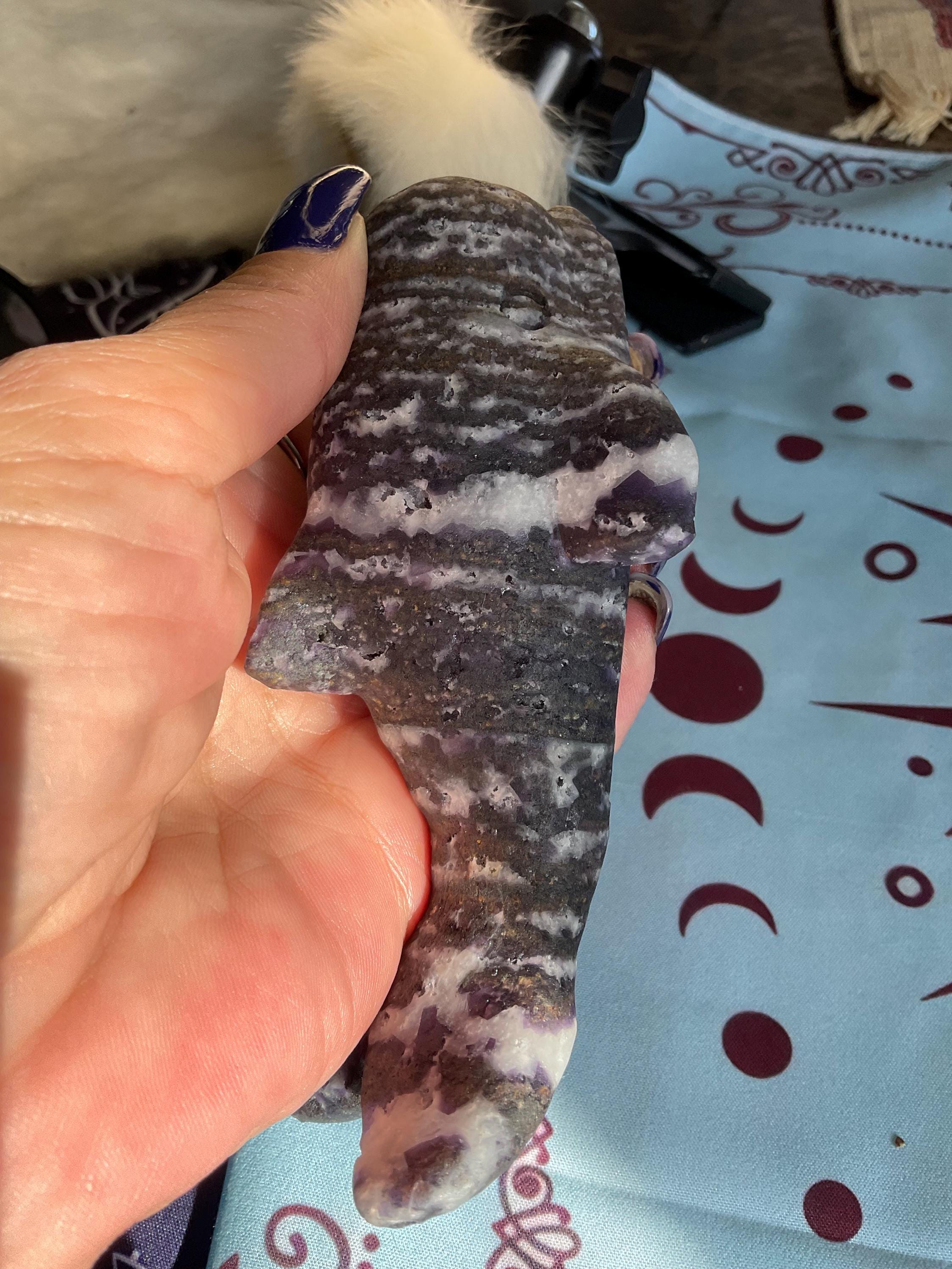 Zebra Amethyst Bottlenose Whale Carving: Crystal Decor - Etsy