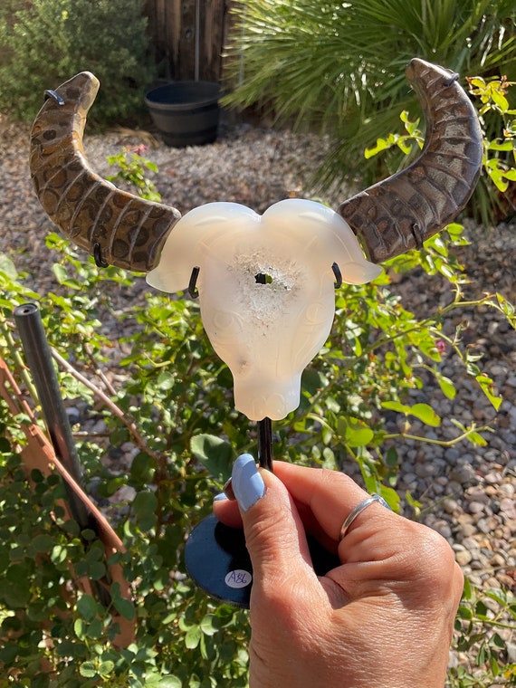 Druzy Agate Skull with Horns Druzy Agate Skull with Horns