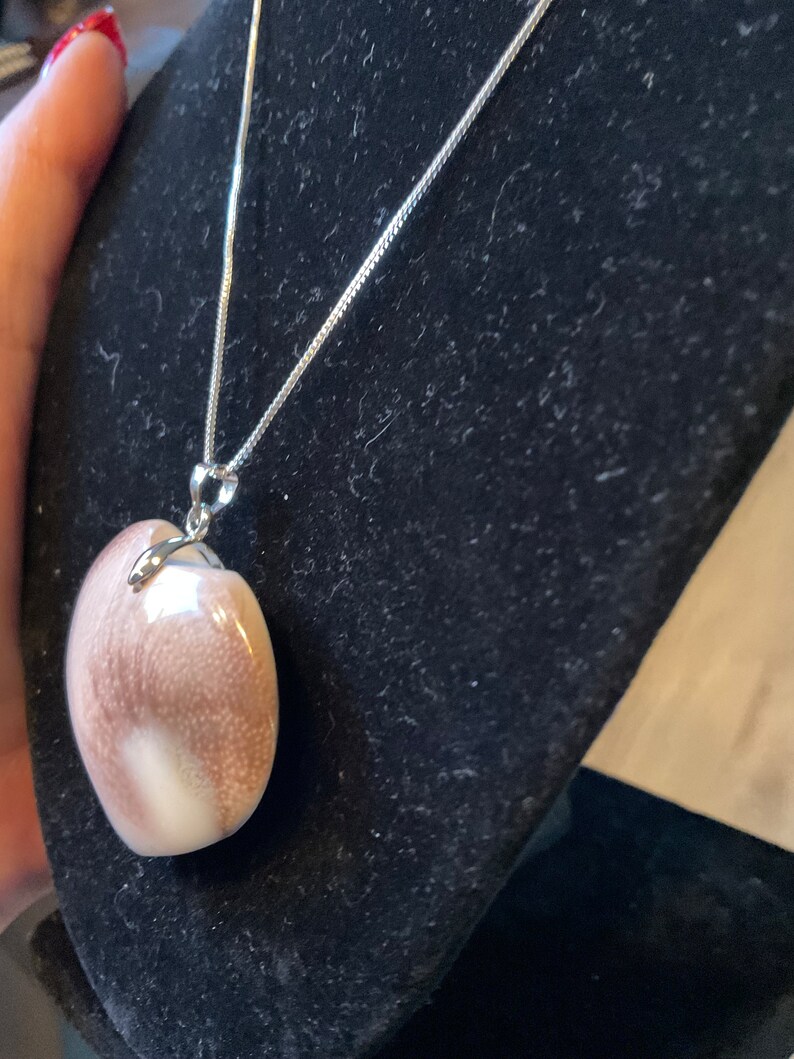 Sun Shell Thing Natural Sunshell Fossil Heart Crystal Necklace Pendent/sunshell ...