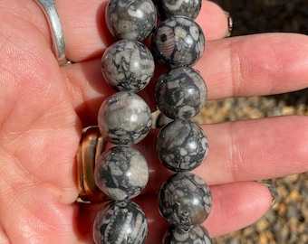 Crinoid Fossil Gemstone Beaded Bracelet: Fossil Jewelry