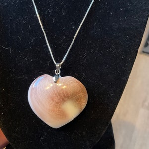 May include: A silver chain necklace with a large heart-shaped pendant made of a light brown and white shell.