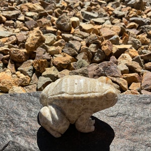 Coral Fossil Jade Frogs, Animal Carvings, Crystal Carvings, Fossils