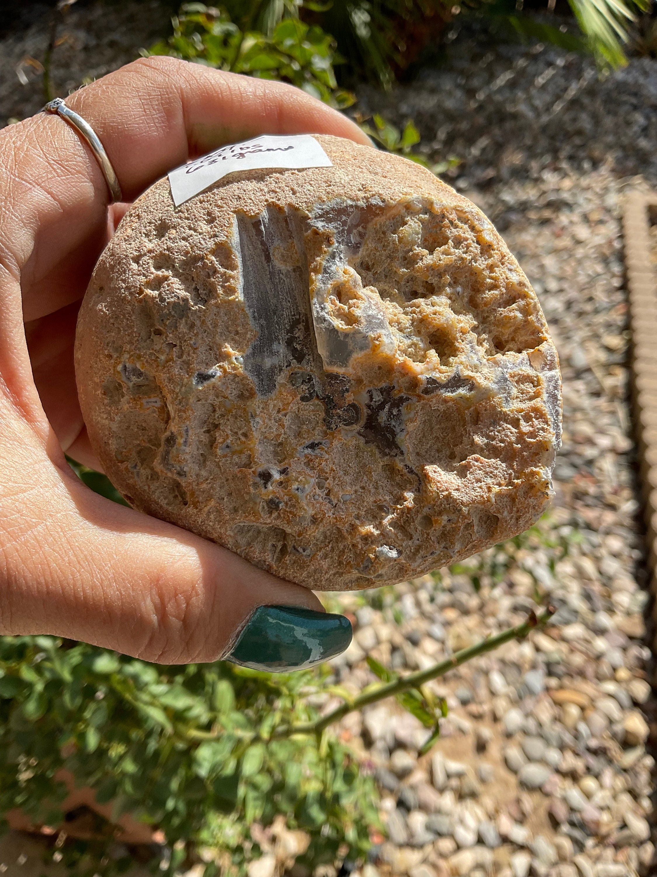 Enhydro Agate Geode Nodule: Natural Home Decor (1.07lbs) - Etsy
