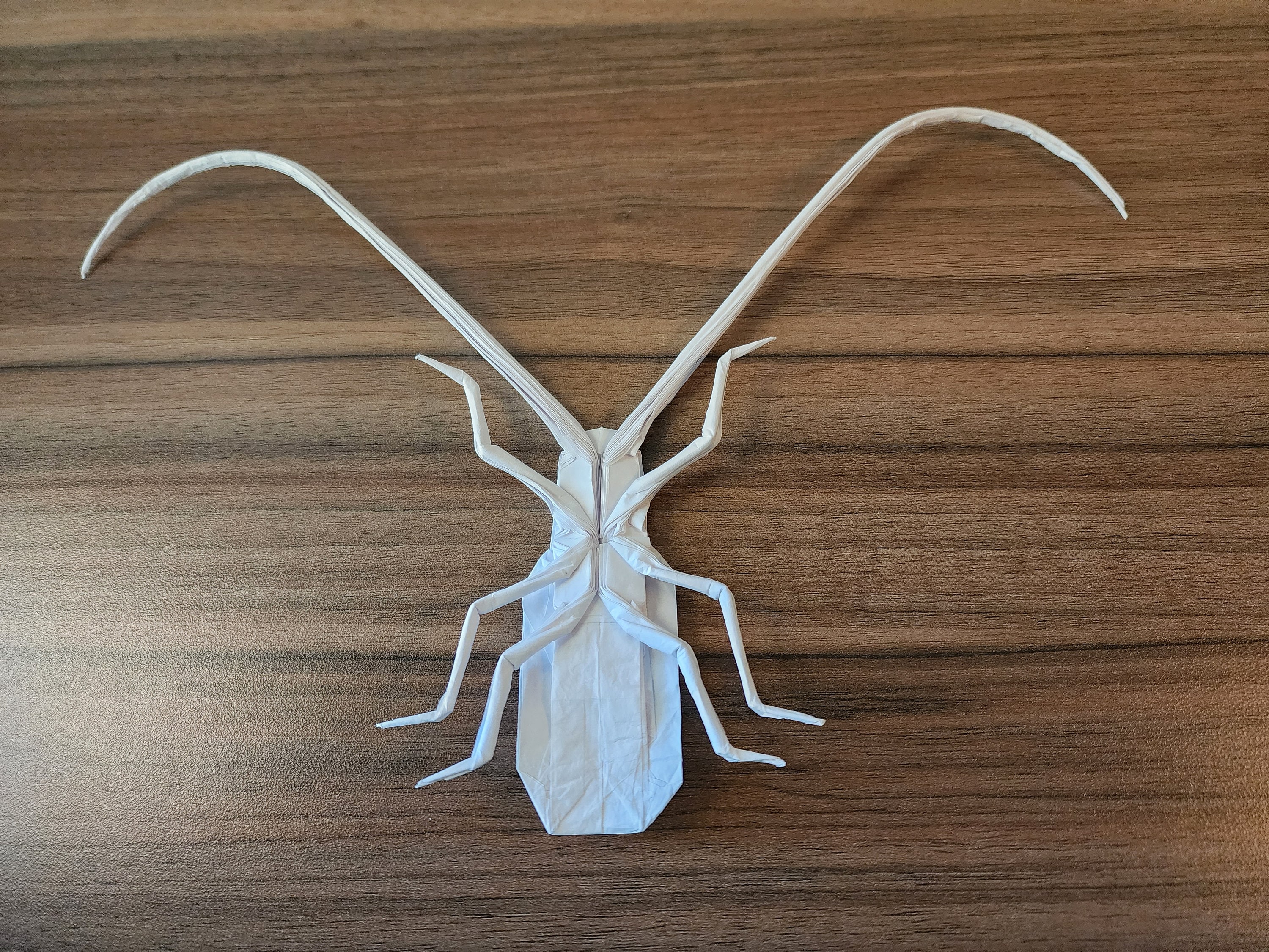 Origami Longhorn Beetle - Etsy