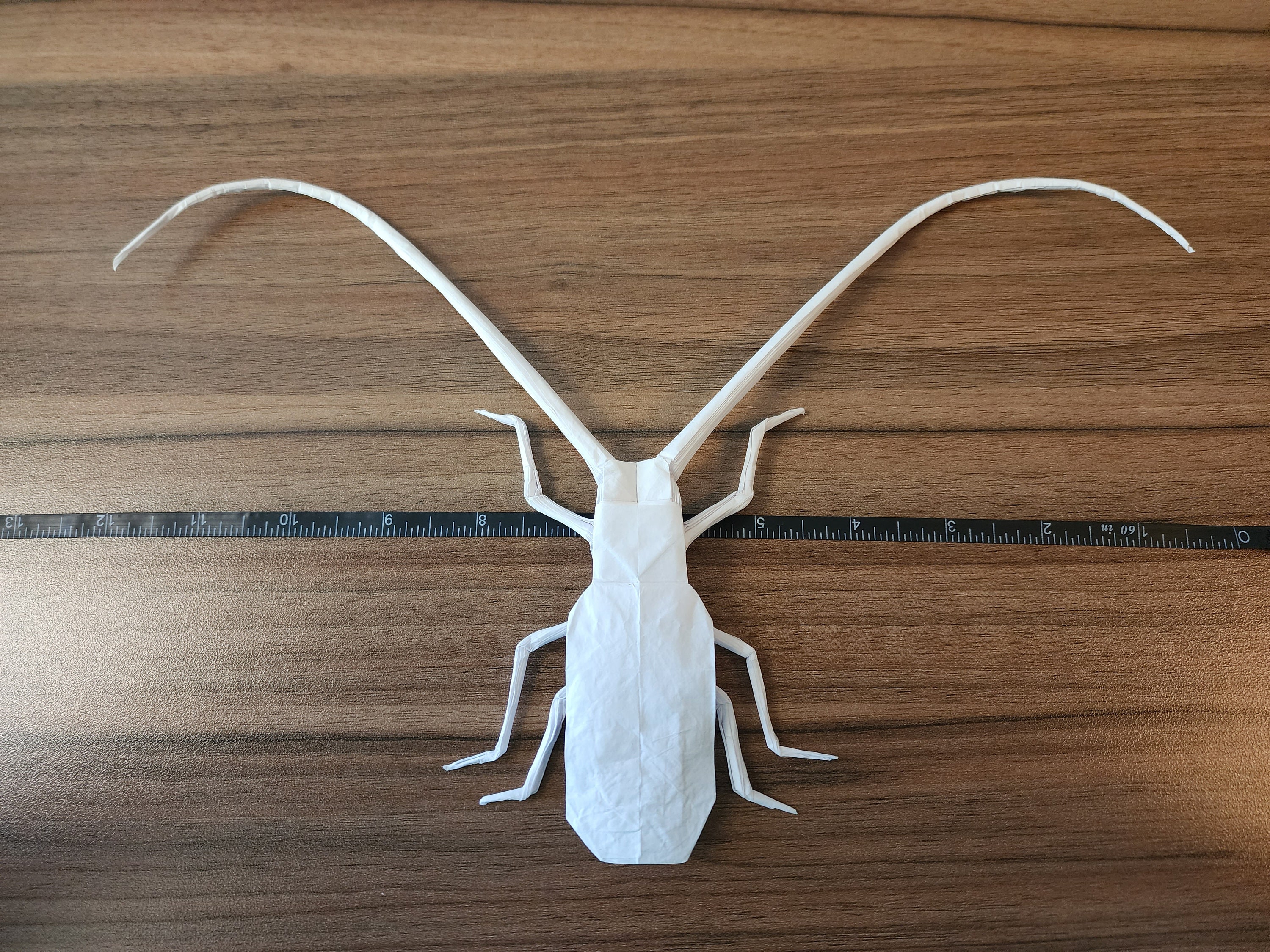 Origami Longhorn Beetle - Etsy