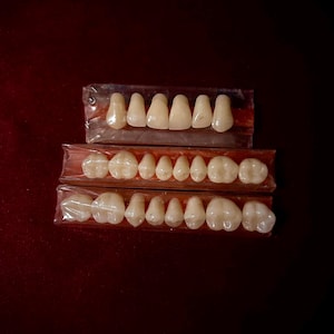Conjunto de amostras de dentaduras vintage - Curiosidade médica gótica, objeto de exposição odontológica.