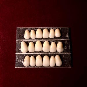 Può includere: Un set di denti finti vintage disposti su un vassoio di metallo. I denti sono di colore bianco crema e sono disposti su tre file. Il vassoio ha del testo in alto e in basso.