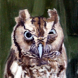 Owl Painting Print, &quot;Who?&quot;: tiny owl painting, 8.5&quot;x11&quot;, Fine Art Painting Print, owls painting original, Limited Edition