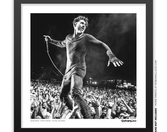Davey Havok AFI Print: Live Punk Rock Photography