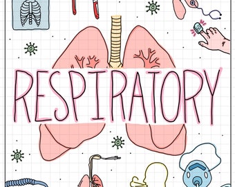 Respiratory Flash Cards (Part 1) - 23 cards