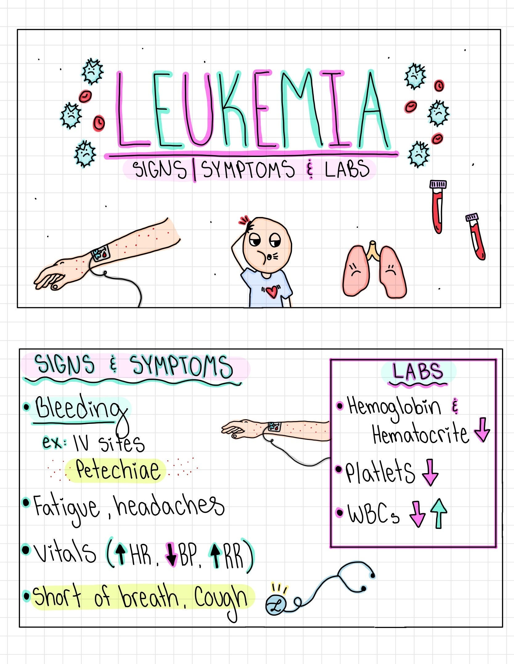 Hematology 16 Flash Cards Etsy