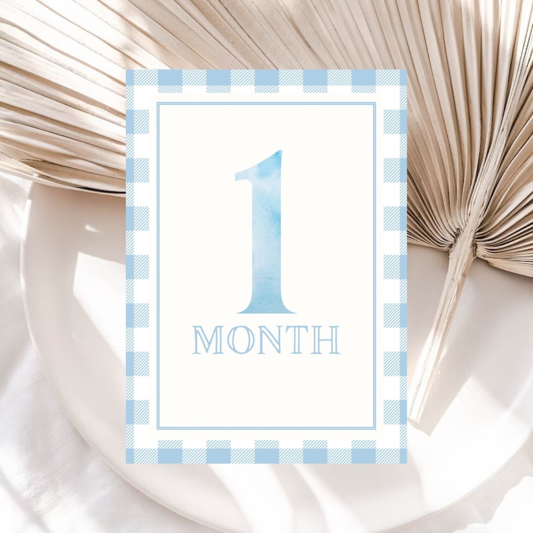 Blue Gingham Watercolor Milestone Cards | Classic Boy Monthly Milestone ...