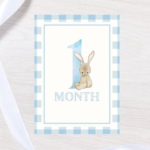 Blaues Häschen Gingham Aquarell Meilensteinkarten | Klassische Meilensteinkarten für Jungen | Häschen-Meilensteinkarten | Baby-Dusche-Geschenk