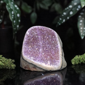 Könnte beinhalten: Eine polierte Amethyst-Geode mit einem lebendigen violetten Kristall-Innenraum. Die Geode ist vor einem dunklen Hintergrund mit grünem Moos und Blättern platziert, was eine natürliche Ästhetik erzeugt. Der Stein misst etwa 10 cm in der Höhe und 8 cm in der Breite.