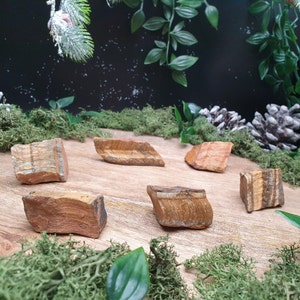 Occhio di tigre, grezzo. Tigereye Gruppo 1 #1 - #6 Cristalli, pietre preziose e minerali Da CrystalSisterhood