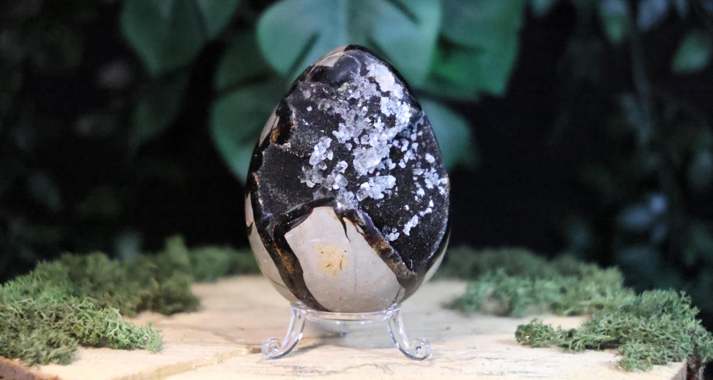 Septarian Egg - Etsy