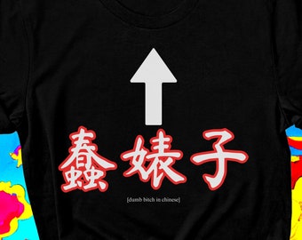 Shirts That Go Hard, Funny Chinese Characters Shirt, Ironic Tee, Gift for Friend, Meme Shirt, Dumb Bitch in Chinese